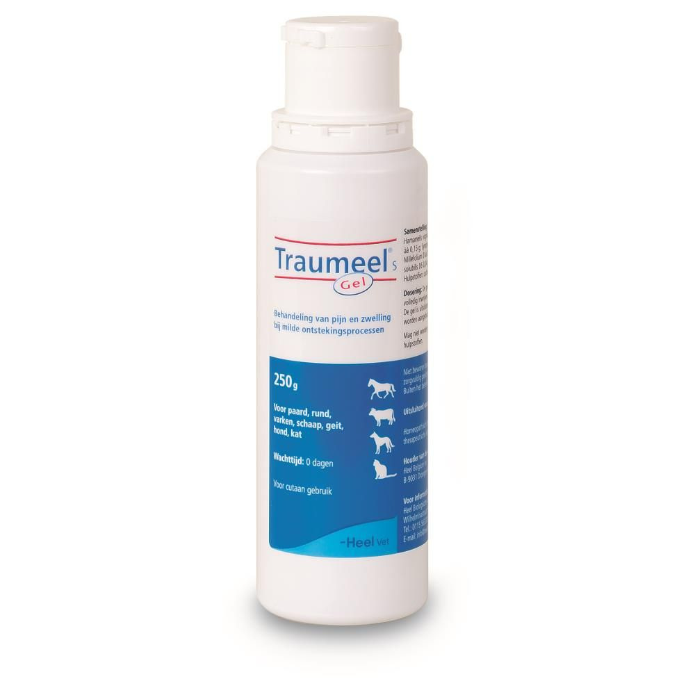 Traumeel S Gel