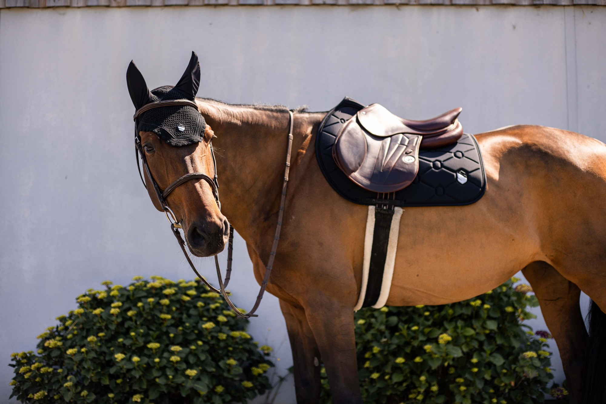Samshield Saddle Pad SpineShield Embroidery