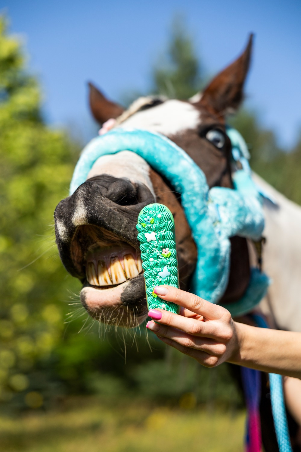 Candy Horse Rainbow World 2026 Eclair
