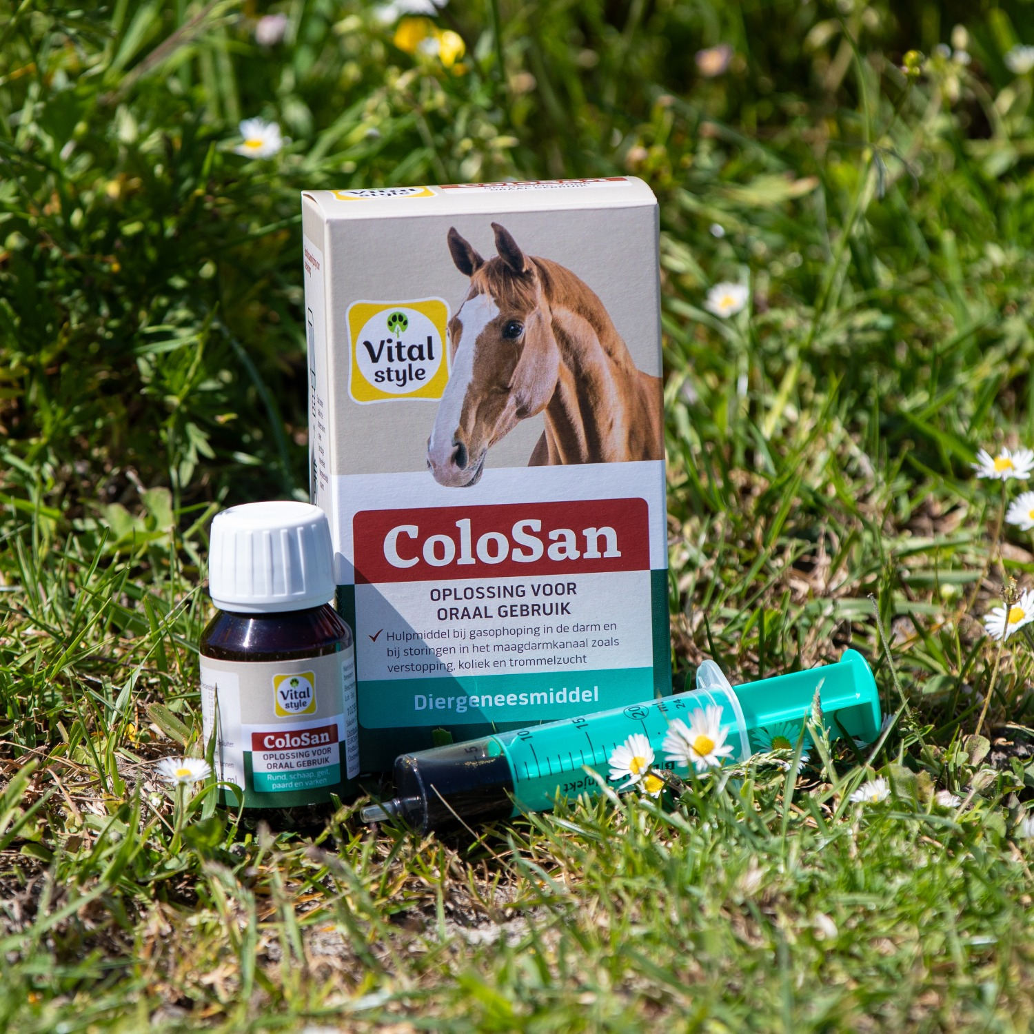 VITALstyle Colosan