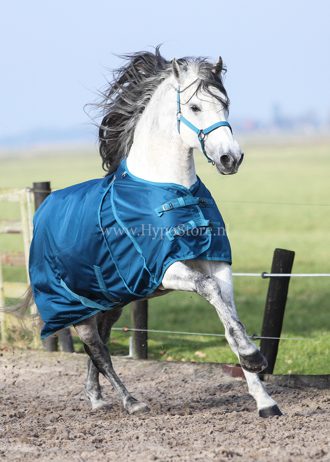 MASTER Turnout Rug Metallic Petrol 0g