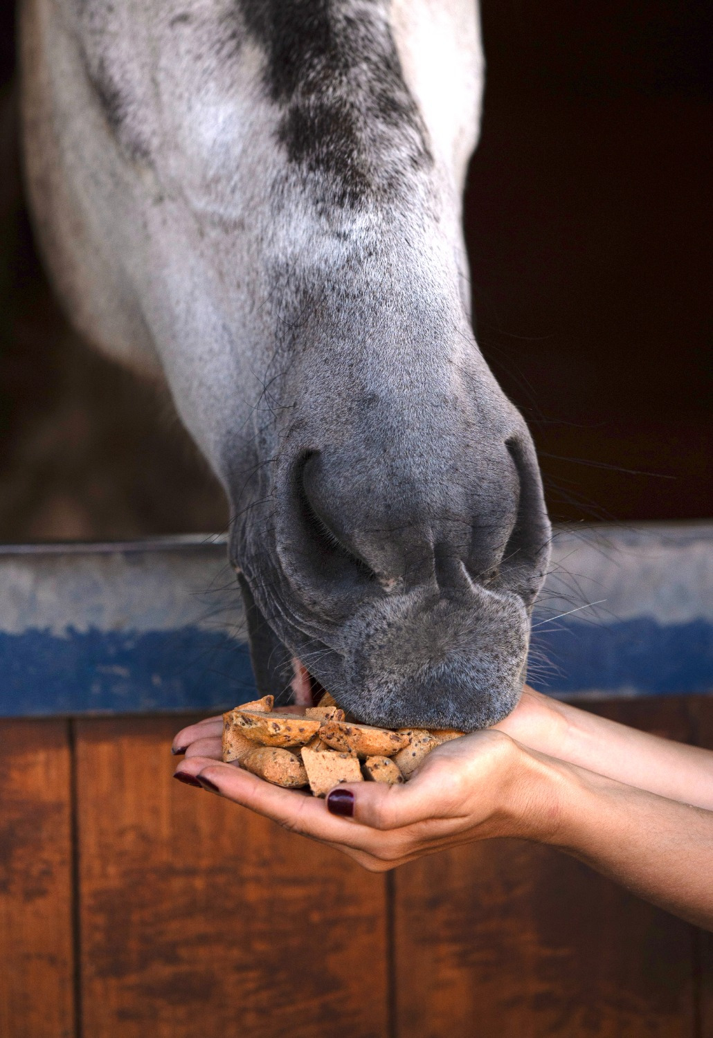 Candy Horse Hooves Papaya & Strawberry Treats