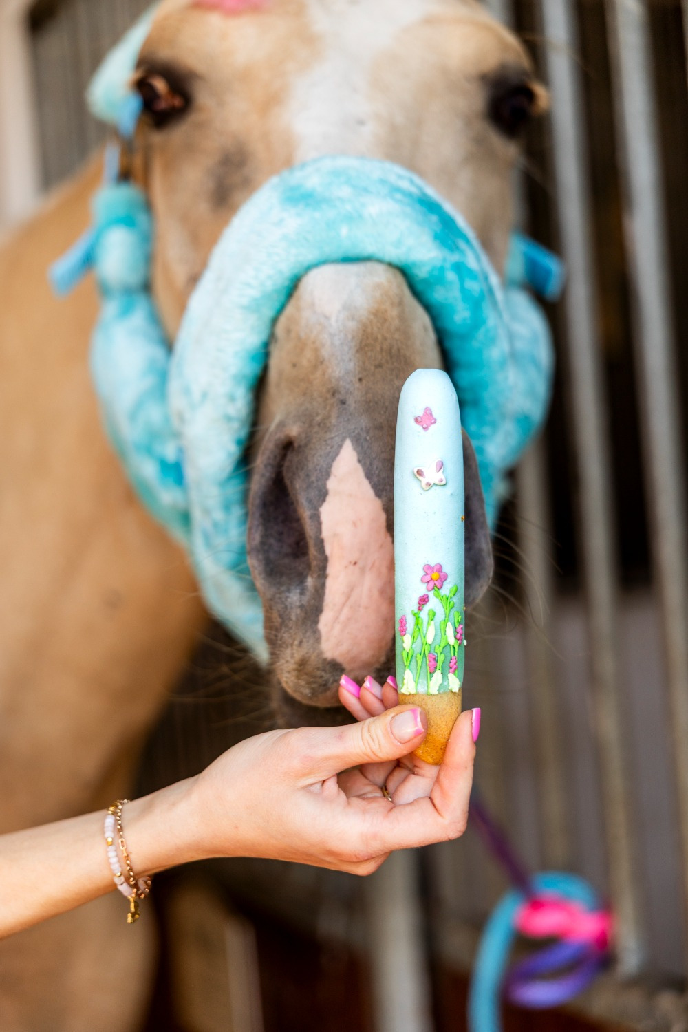 Candy Horse Rainbow World 2026 Sticks with Icing