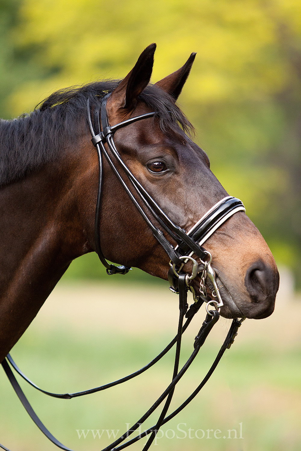 Premiera "Rome" Black Round-stitched Double Bridle with White Padded Patent Leather Noseband