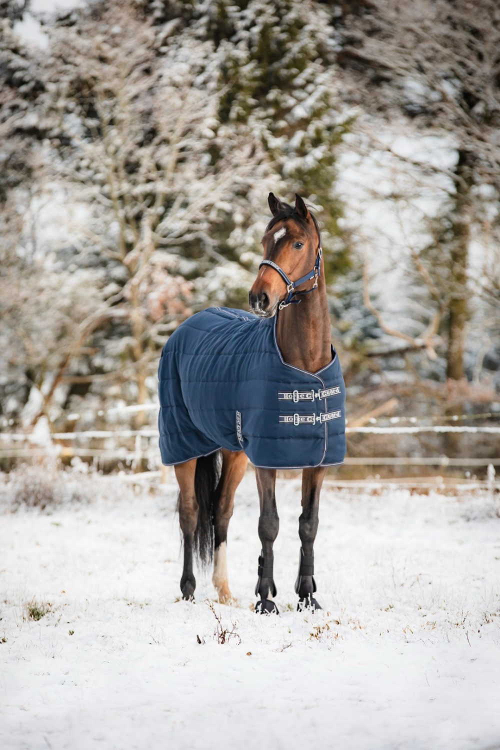 HorseGuard 600D Stalldecke 300g