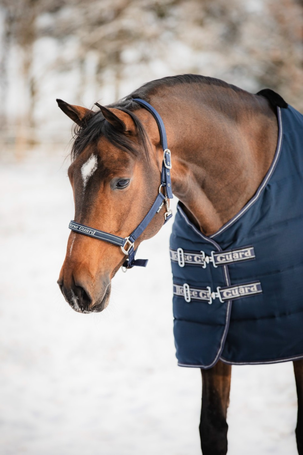 HorseGuard 600D Stallteppich 100g