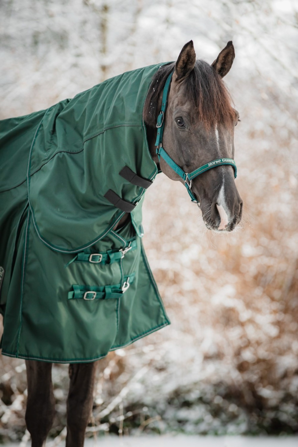 HorseGuard 1200D Regendecke 0g