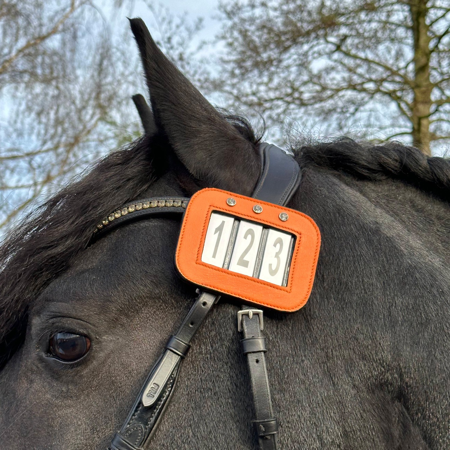 Hoofdstelnummer Oranje