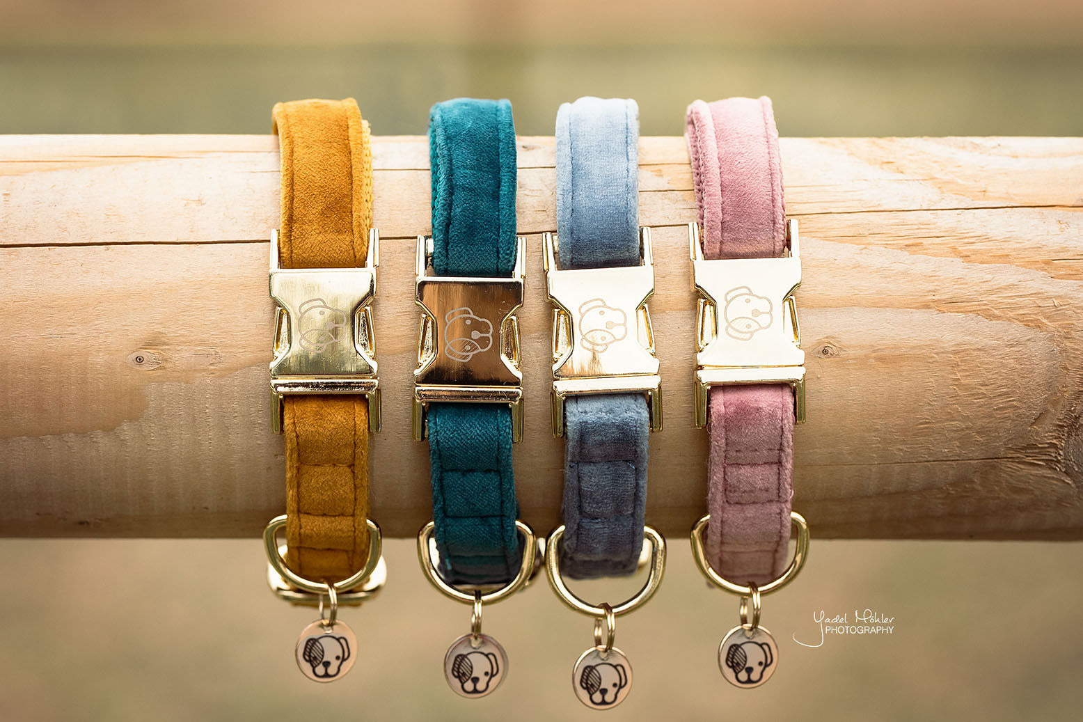Kentucky Velvet Dog Collar