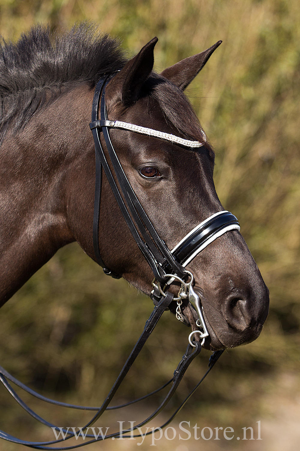 Premiera ''Prades'' Black double bridle with white padding and crystal browband