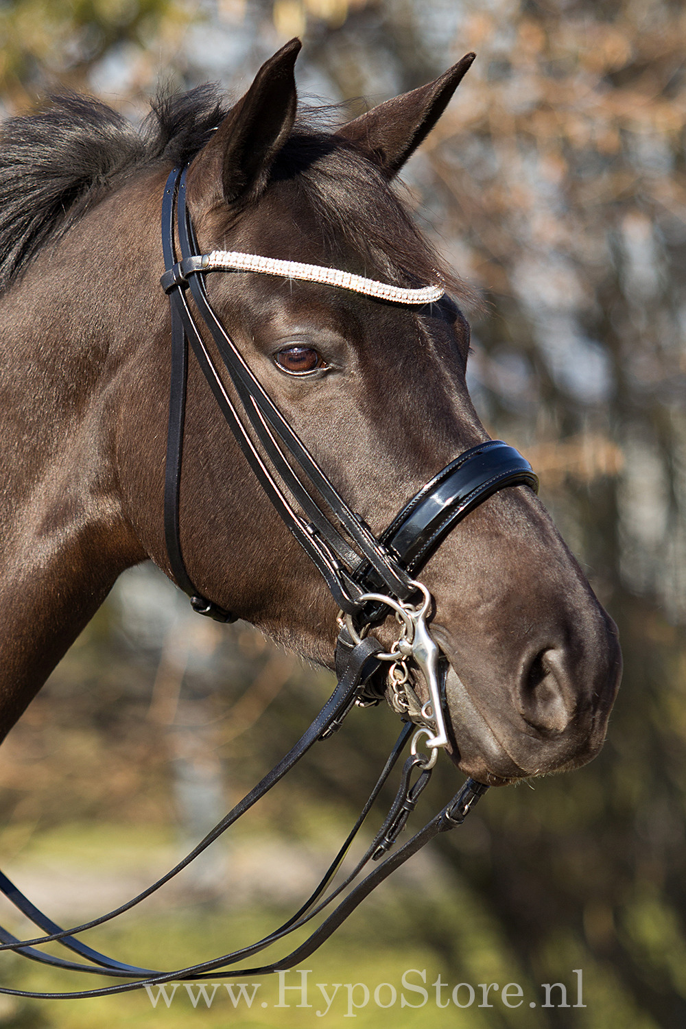 Premiera ''Prades'' Black double bridle with crystal browband