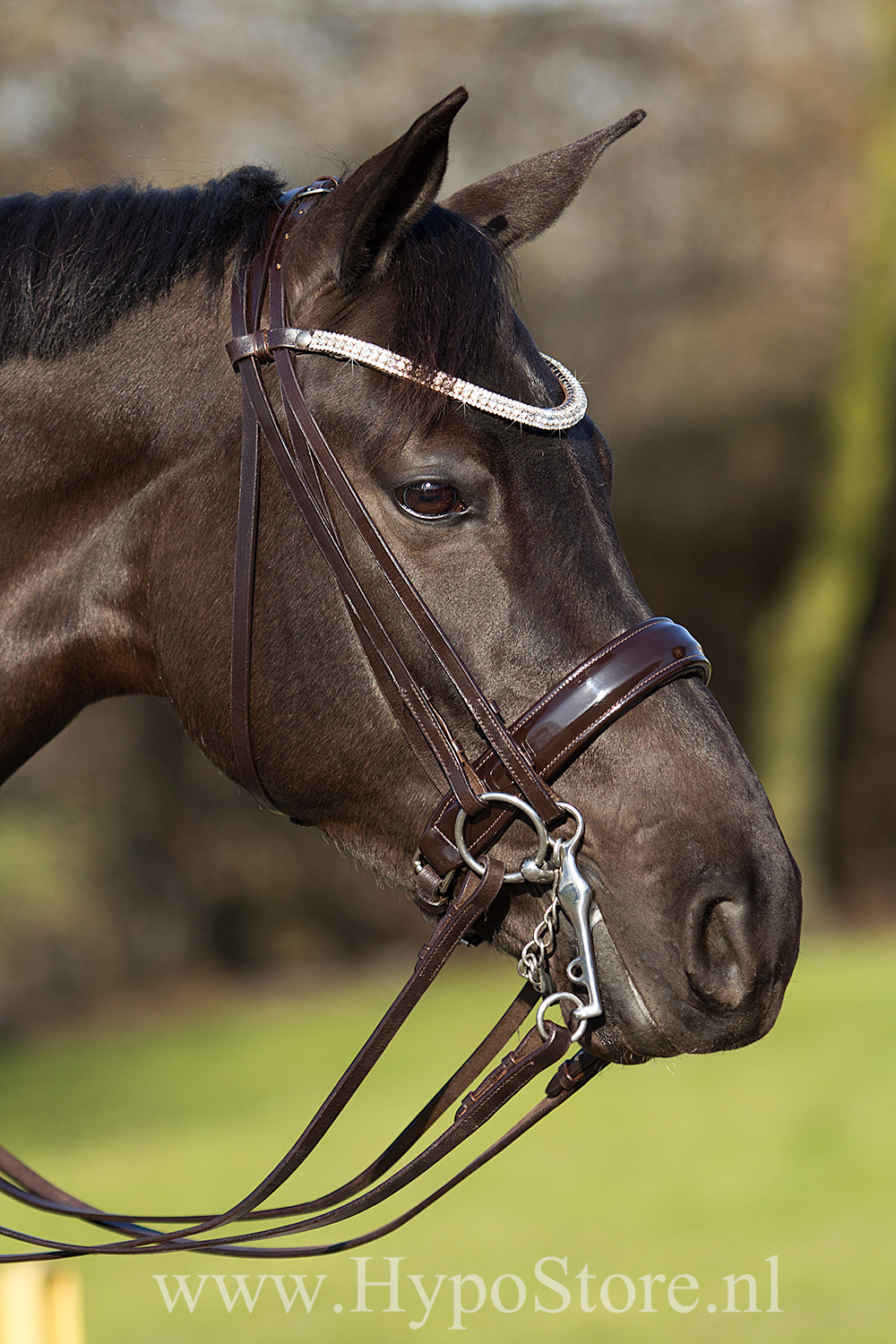 Premiera ''Prades'' Brown double bridle with crystal browband