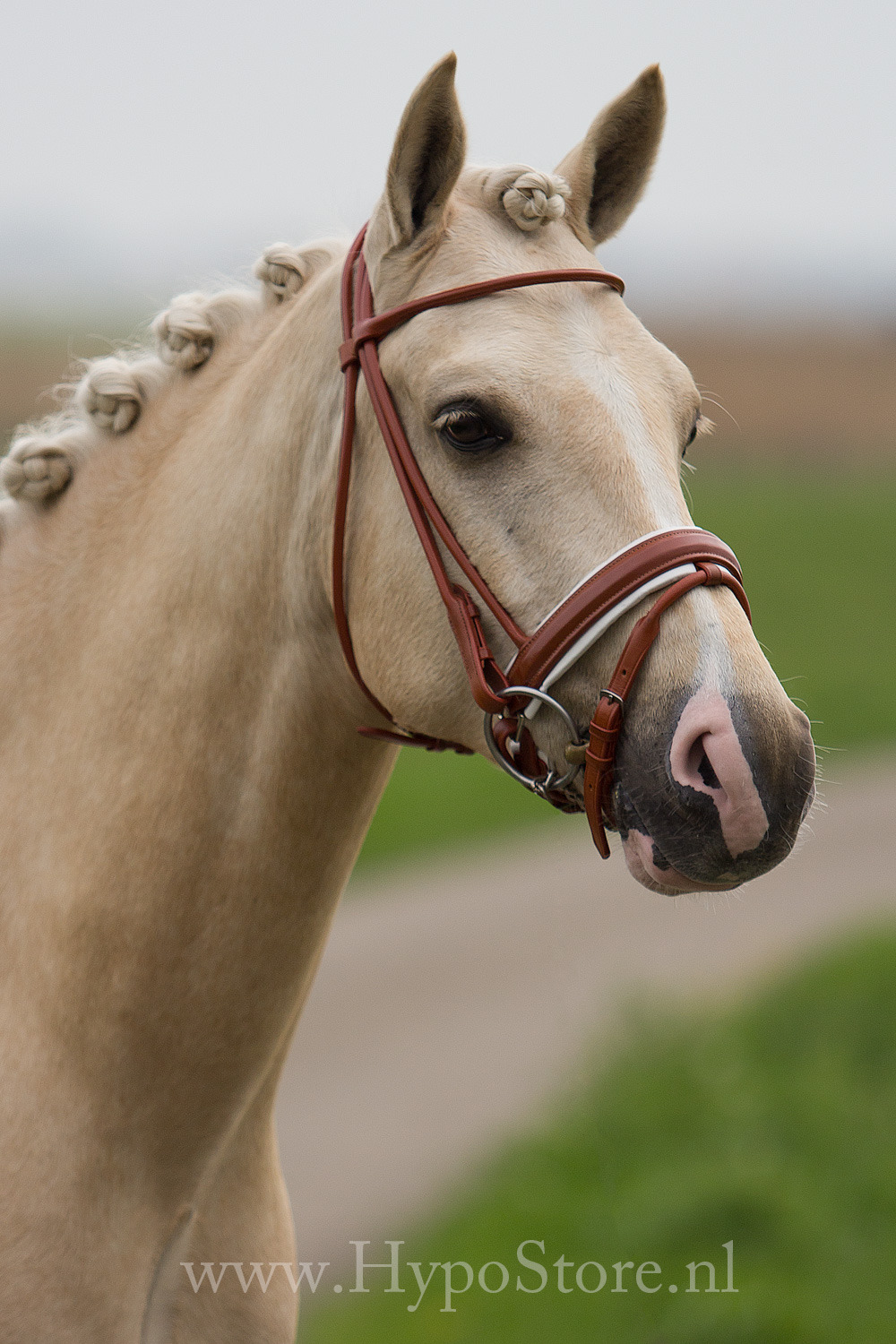 Premiera 'Monaco' Cognac rolled bridle with white-padded patent leather noseband, silver fittings