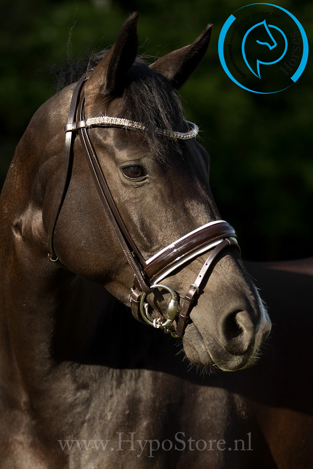Premiera "Athena" brown bridle with white-padded patent leather noseband, gold hardware