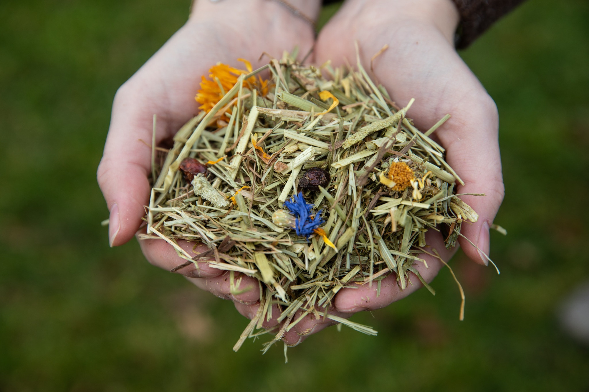 VITALstyle Soft & Fiber Forage Mix