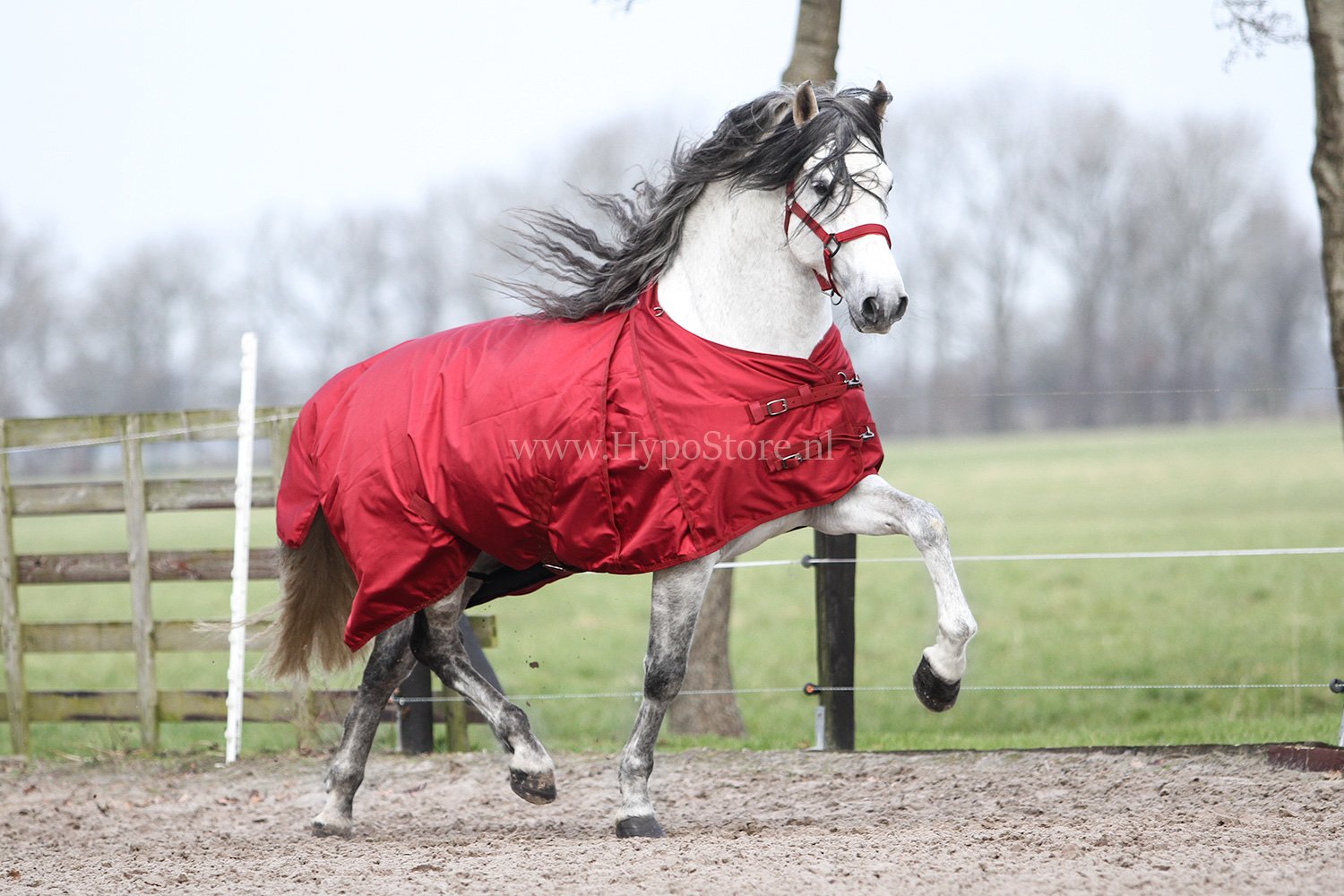 MASTER Winter Rug metallic red 150g