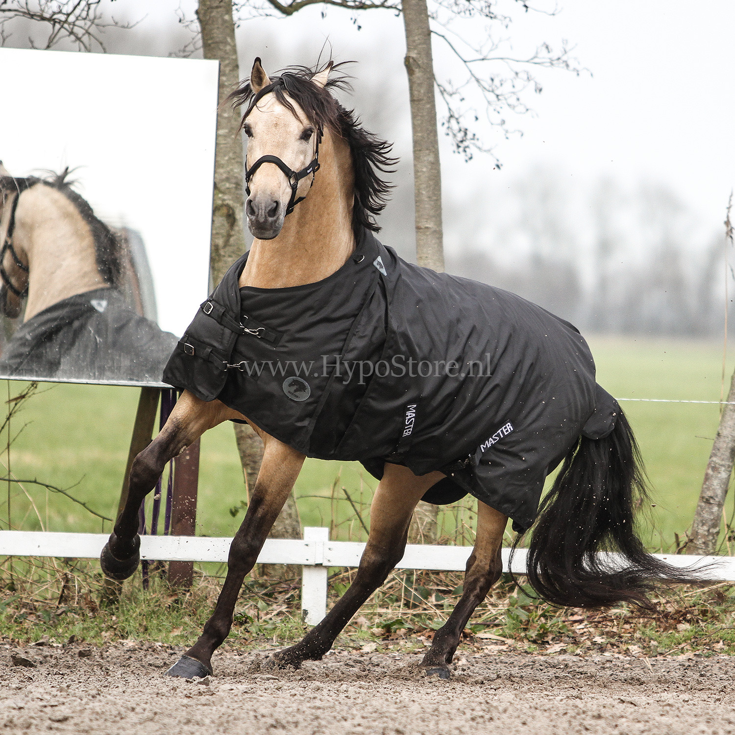 MASTER Winter Rug Metallic Black 300 g