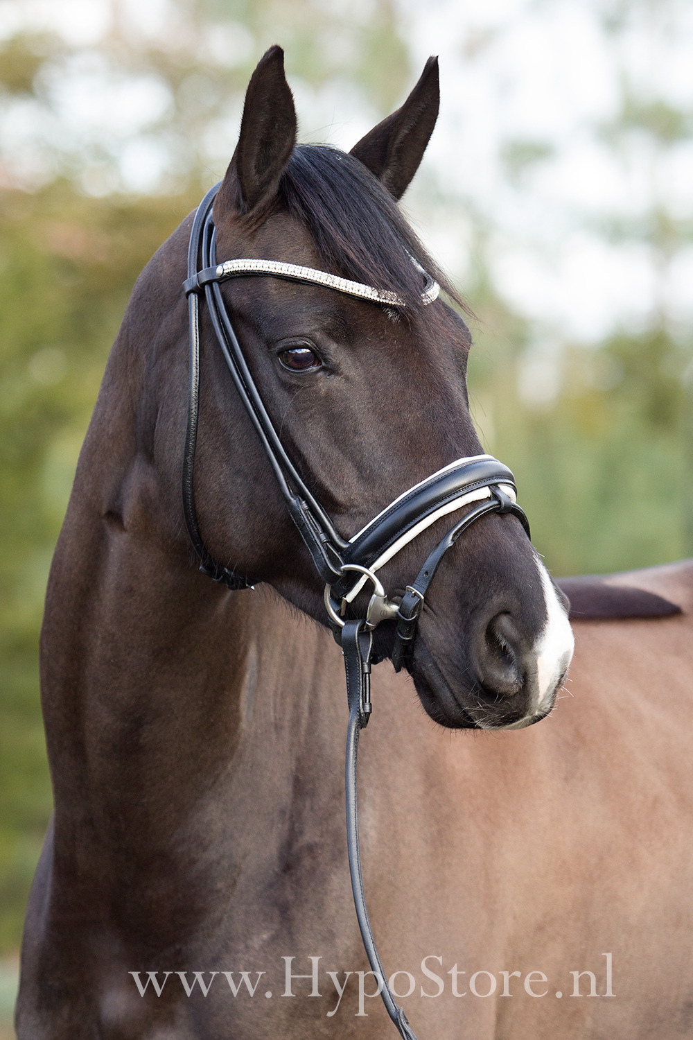 Premiera ''Imperia'' black rolled bridle with white padding and crystal browband