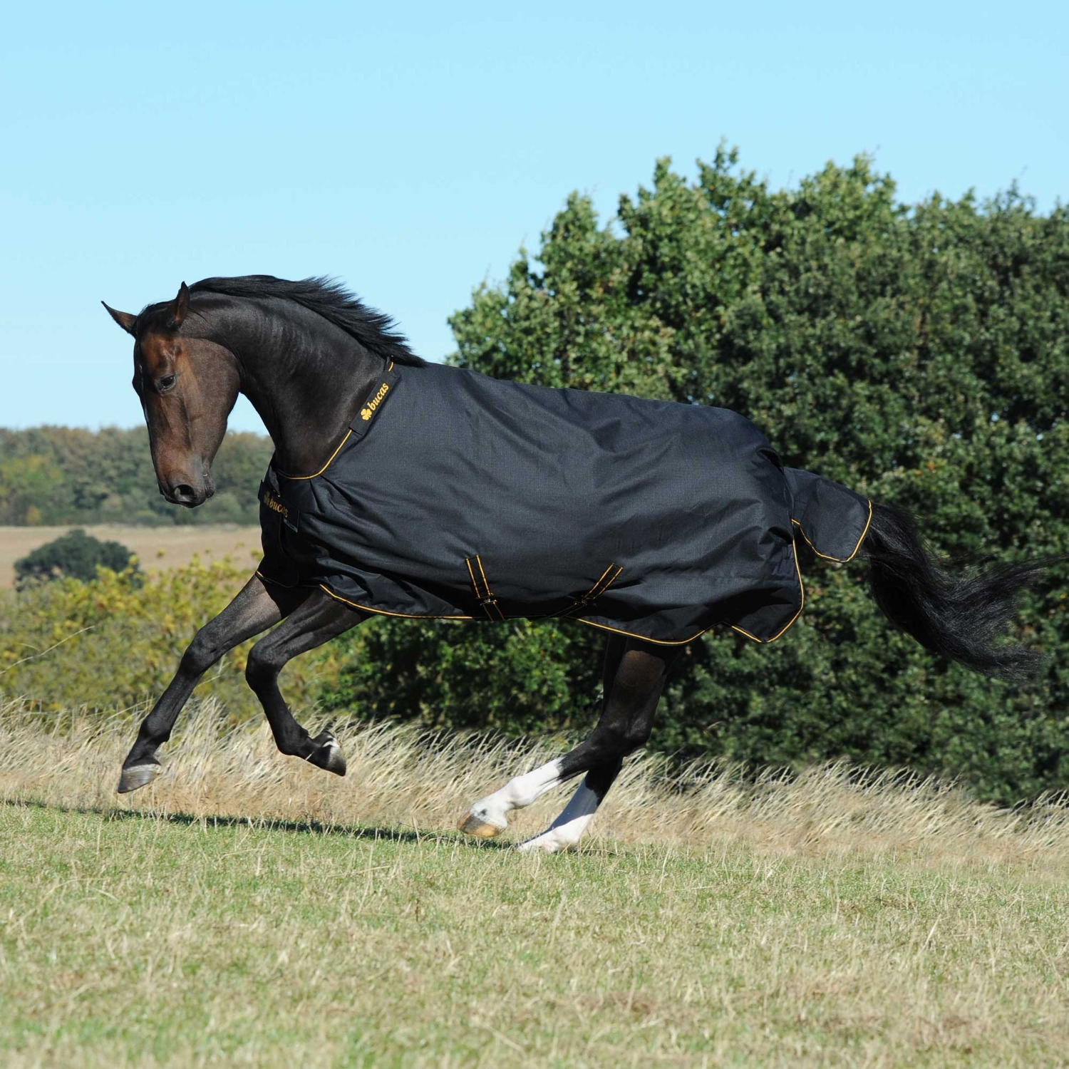 Bucas Irish Turnout Light Big Neck