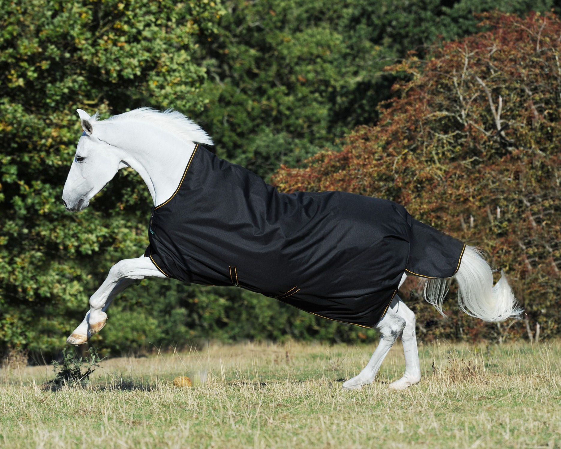 Bucas Irish Turnout High Neck Extra