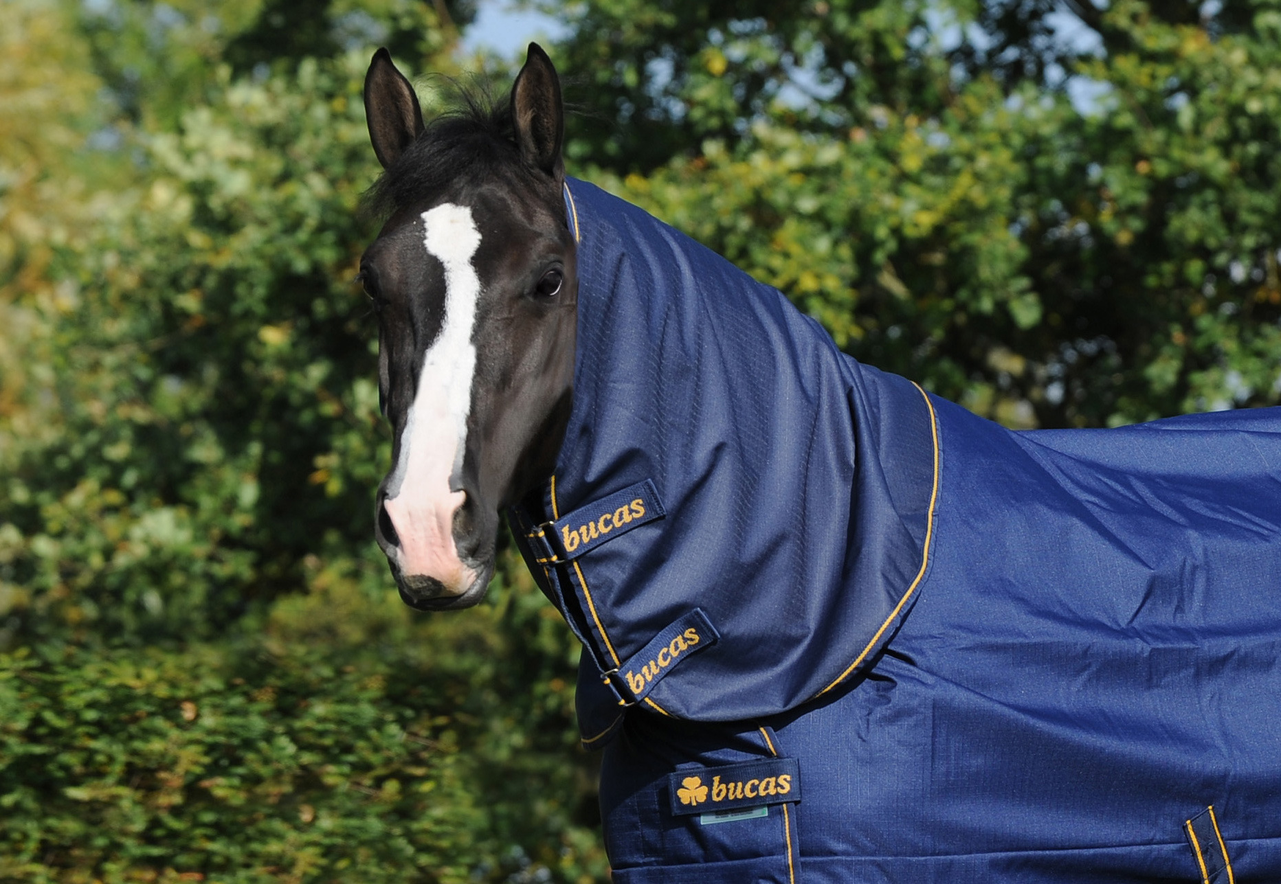 Bucas Irish Turnout Combi Neck Blauw 300 gr.
