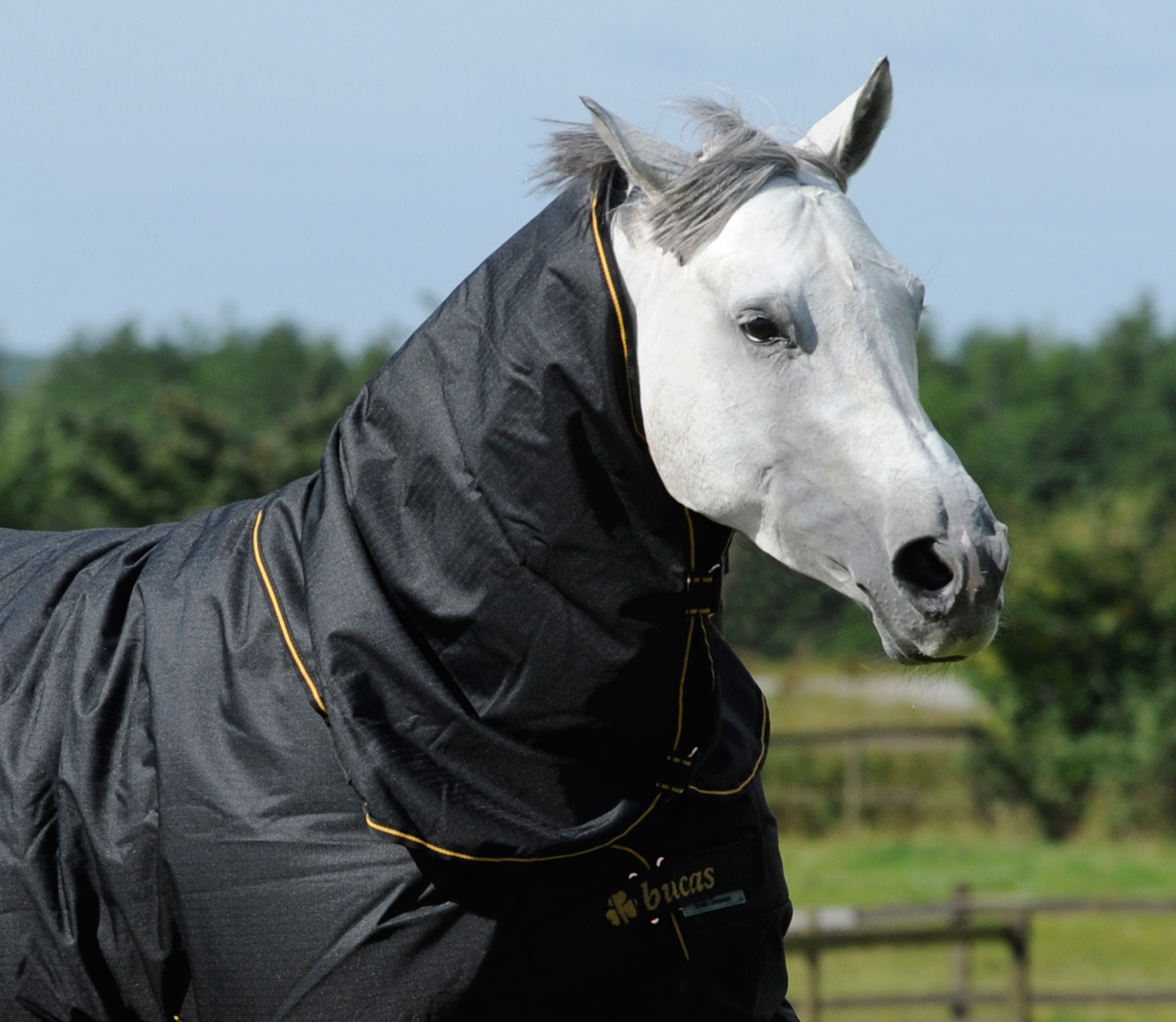 Bucas Irish Turnout Combi Neck Zwart