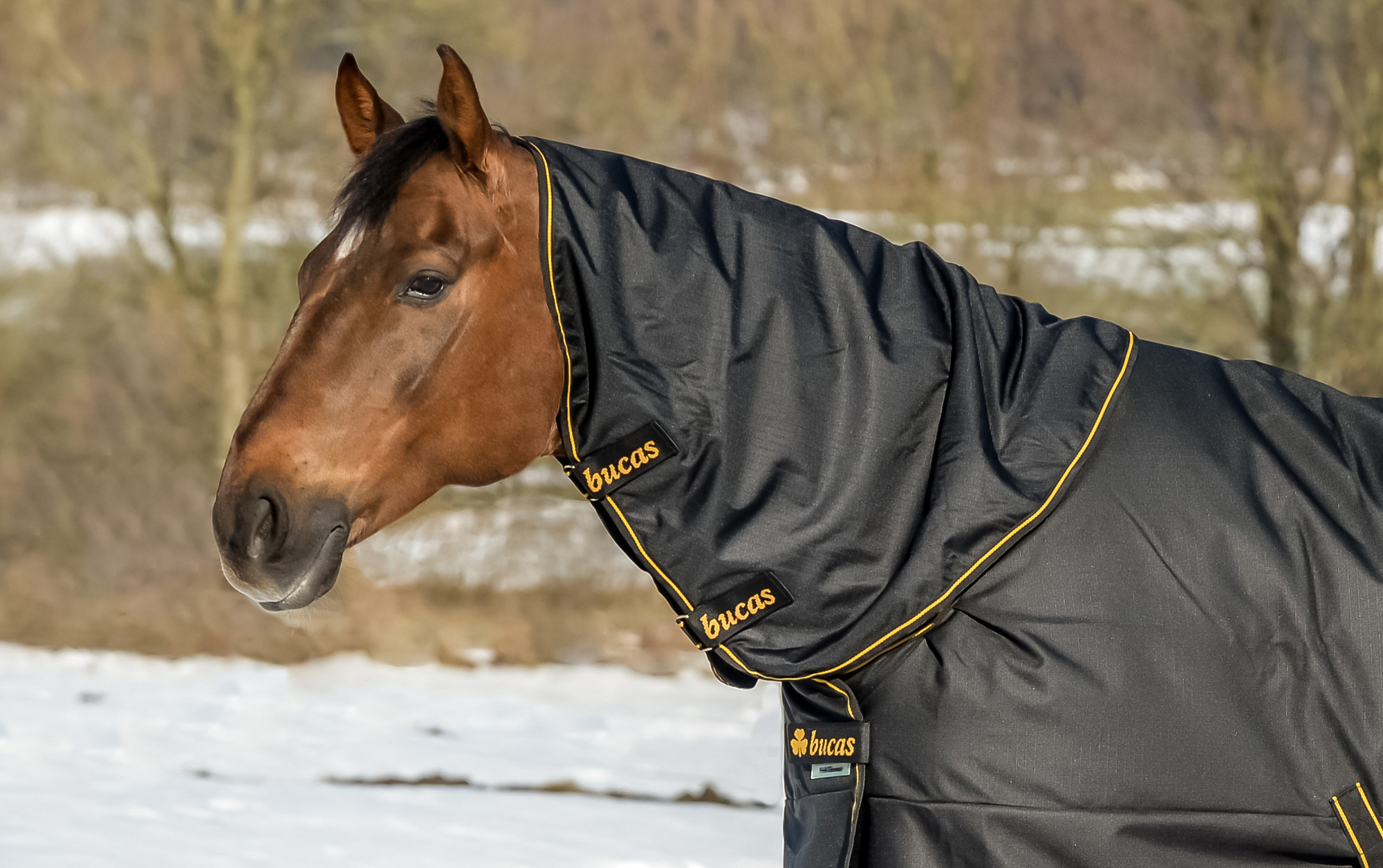 Bucas Irish Turnout Combi Neck Zwart 300 gr.