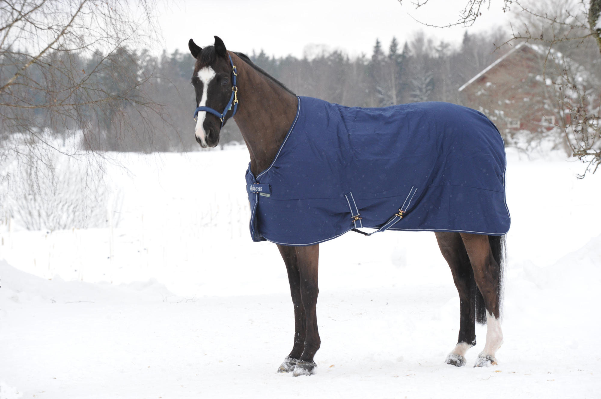 Bucas Irish Stable Extra