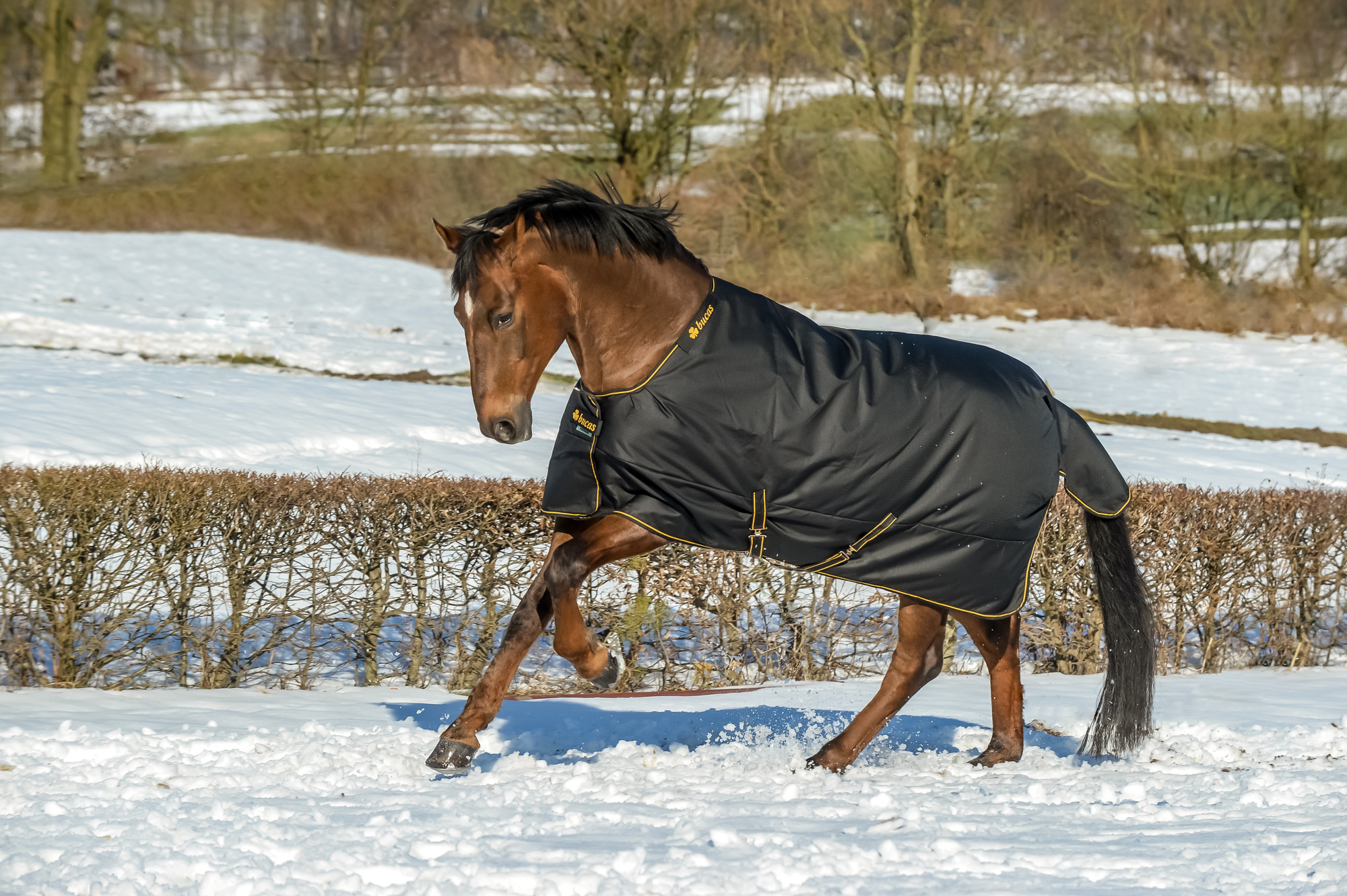 Bucas Irish Turnout Medium 150 Zwart