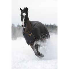 Bucas Irish Turnout Extra Schwarz