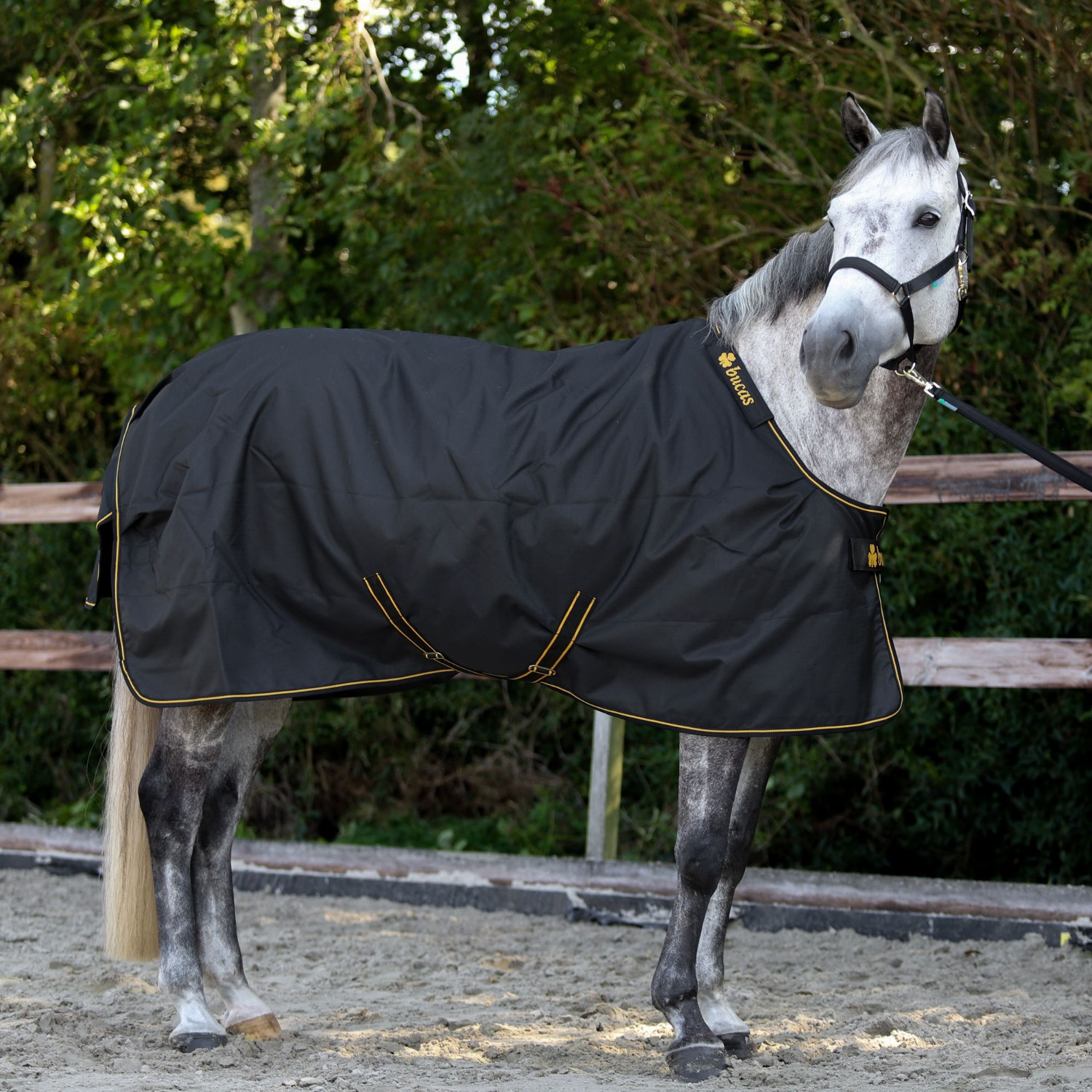 Bucas Irish Turnout Light 0g