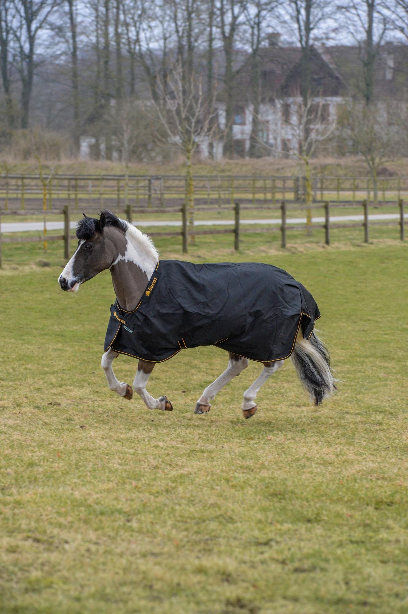 Bucas Irish Turnout Pony Light Zwart