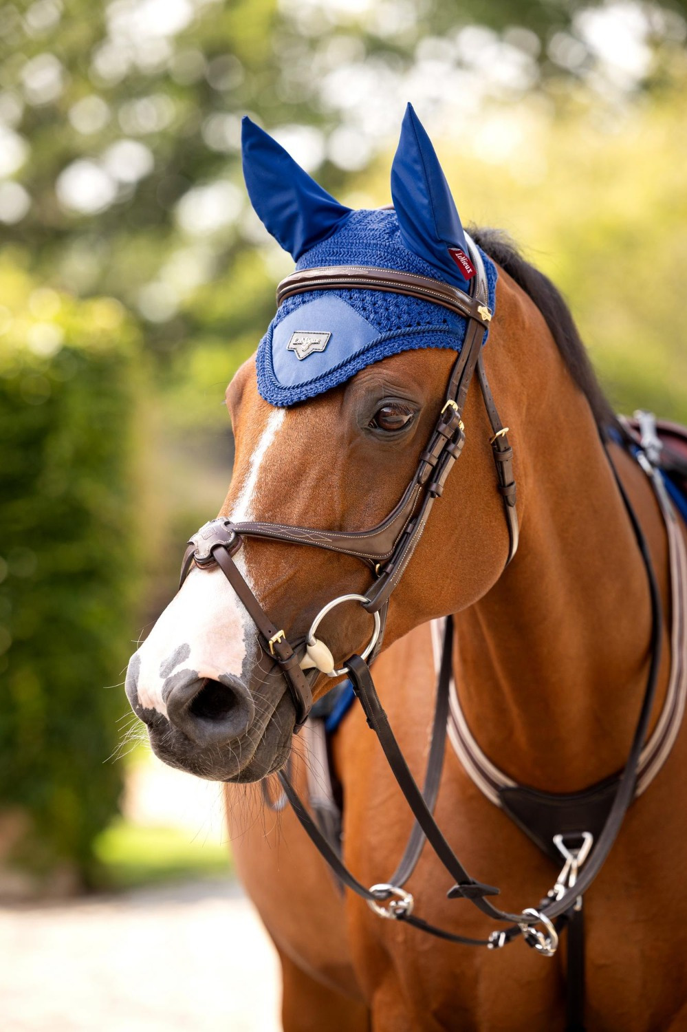 LeMieux Loire Fly Hood