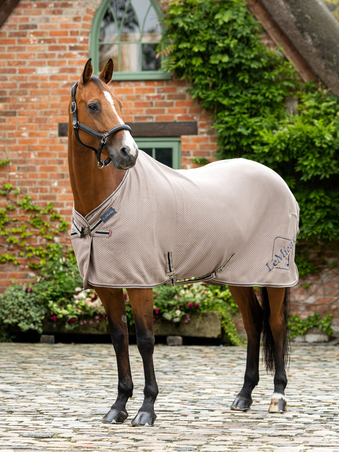 LeMieux SS25 Kudos Bamboo Cooler