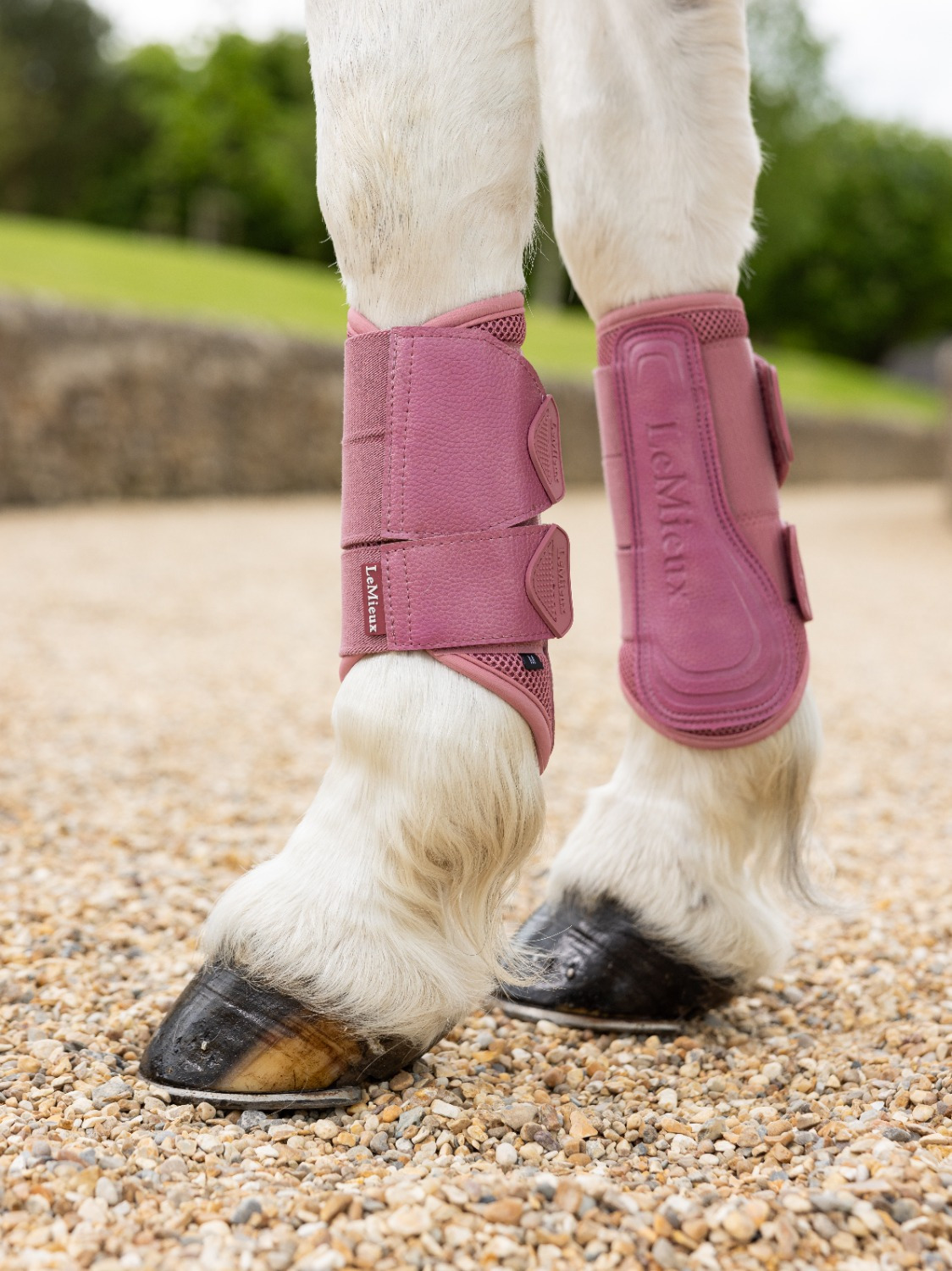 LeMieux SS25 Arika Mesh Brushing Boots 