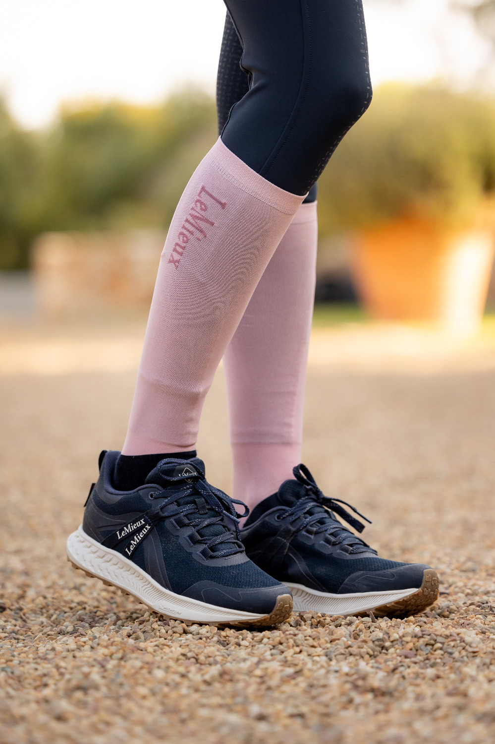 LeMieux SS25 Competition Socks 2-Pack