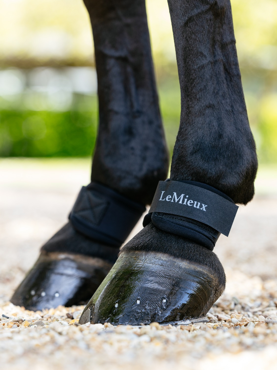 LeMieux Neoprene Pastern Wrap