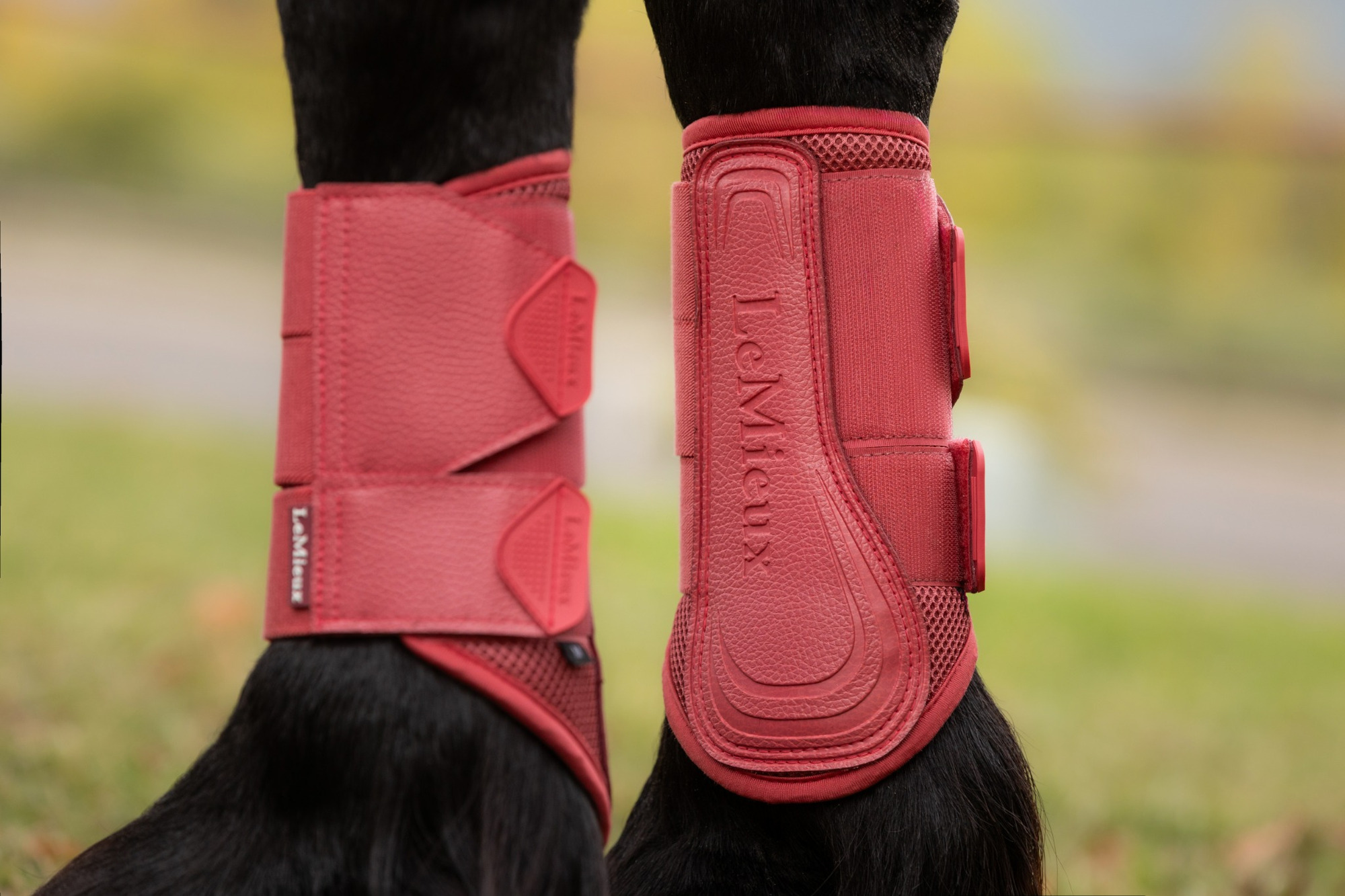 LeMieux AW25 Arika Mesh beenbeschermers Cranberry