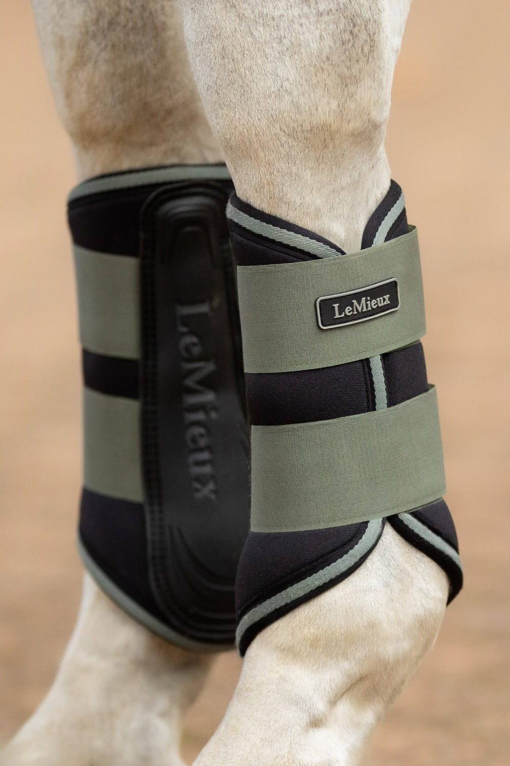 LeMieux AW25 Grafter Brushing Boots Rosemary
