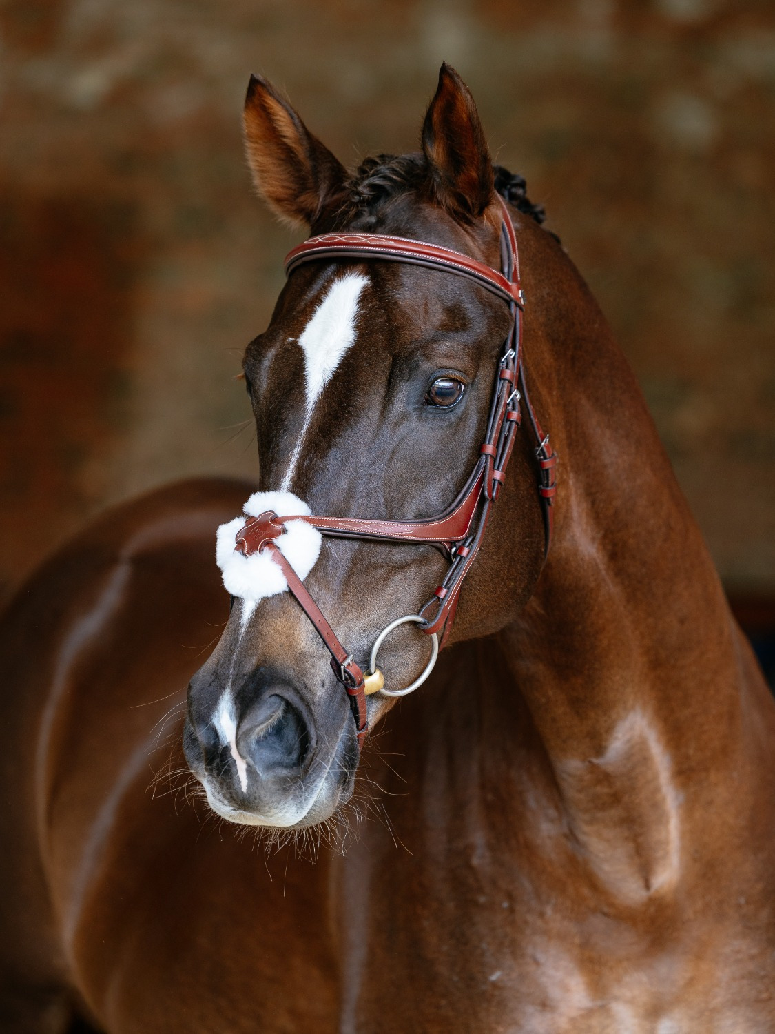 LeMieux CORE Kudos Grackle Bridle Chestnut