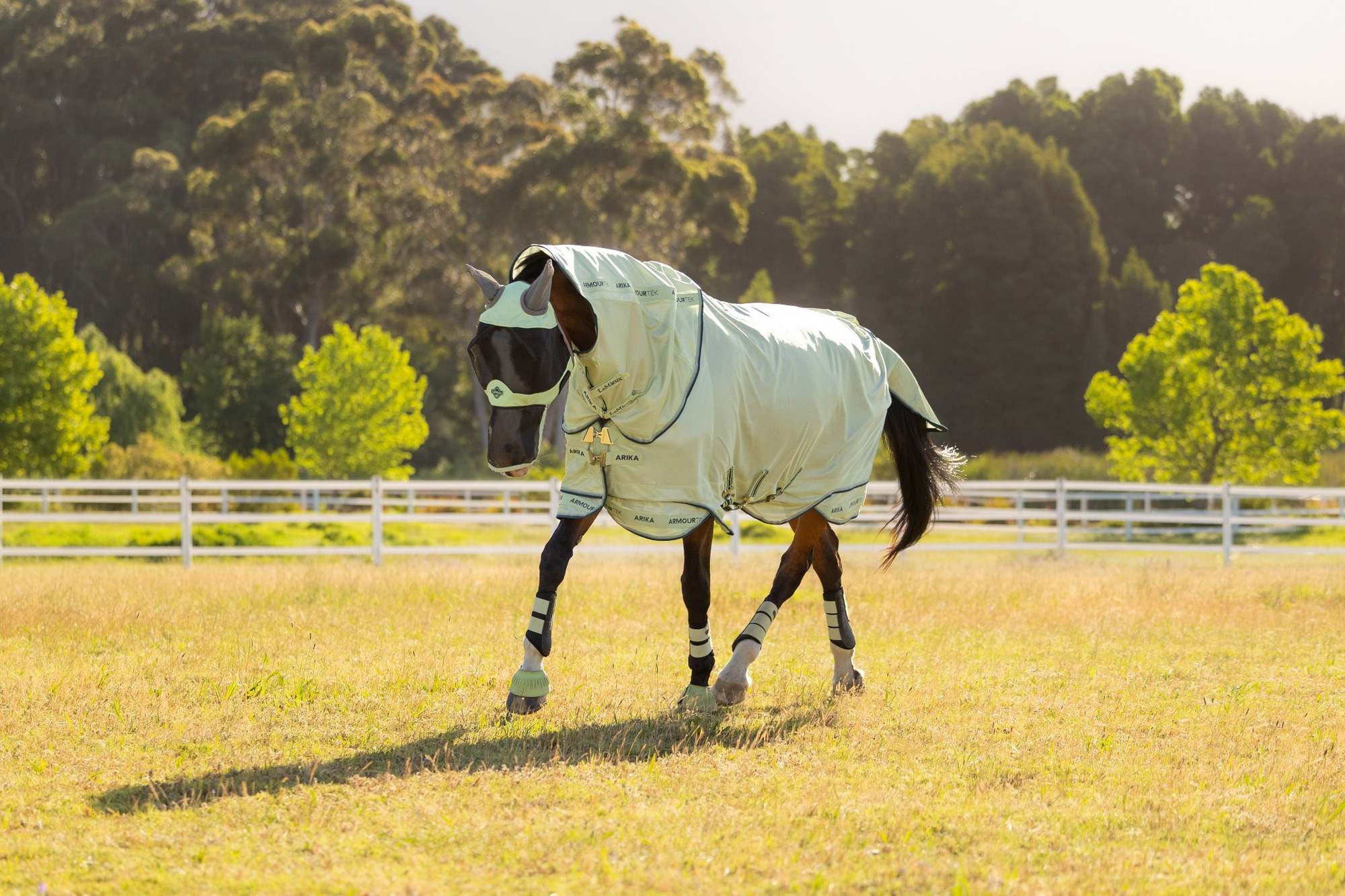 LeMieux SS26 Arika Armour-Tek Fly Rug     