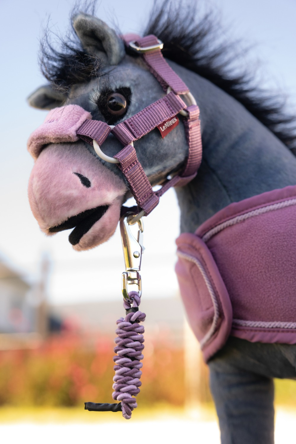 LeMieux Toy Pony Vogue Headcollar & Leadrope