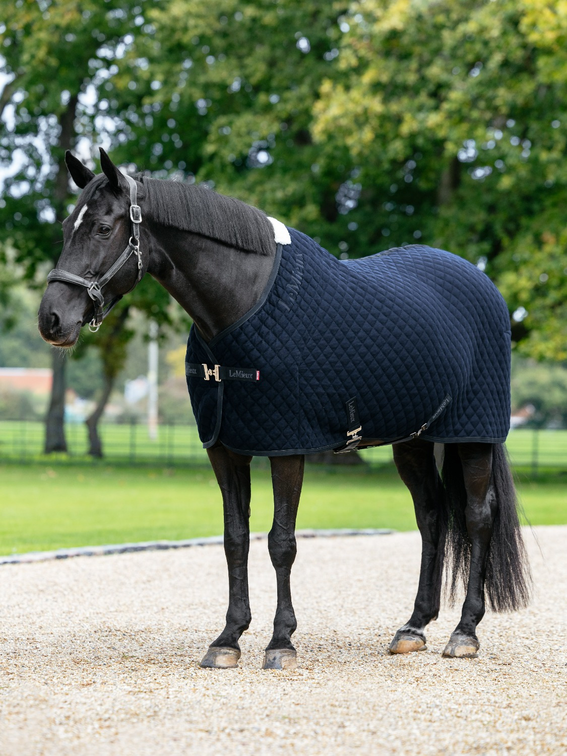 LeMieux SS26 Arika Clima-Tek Rug