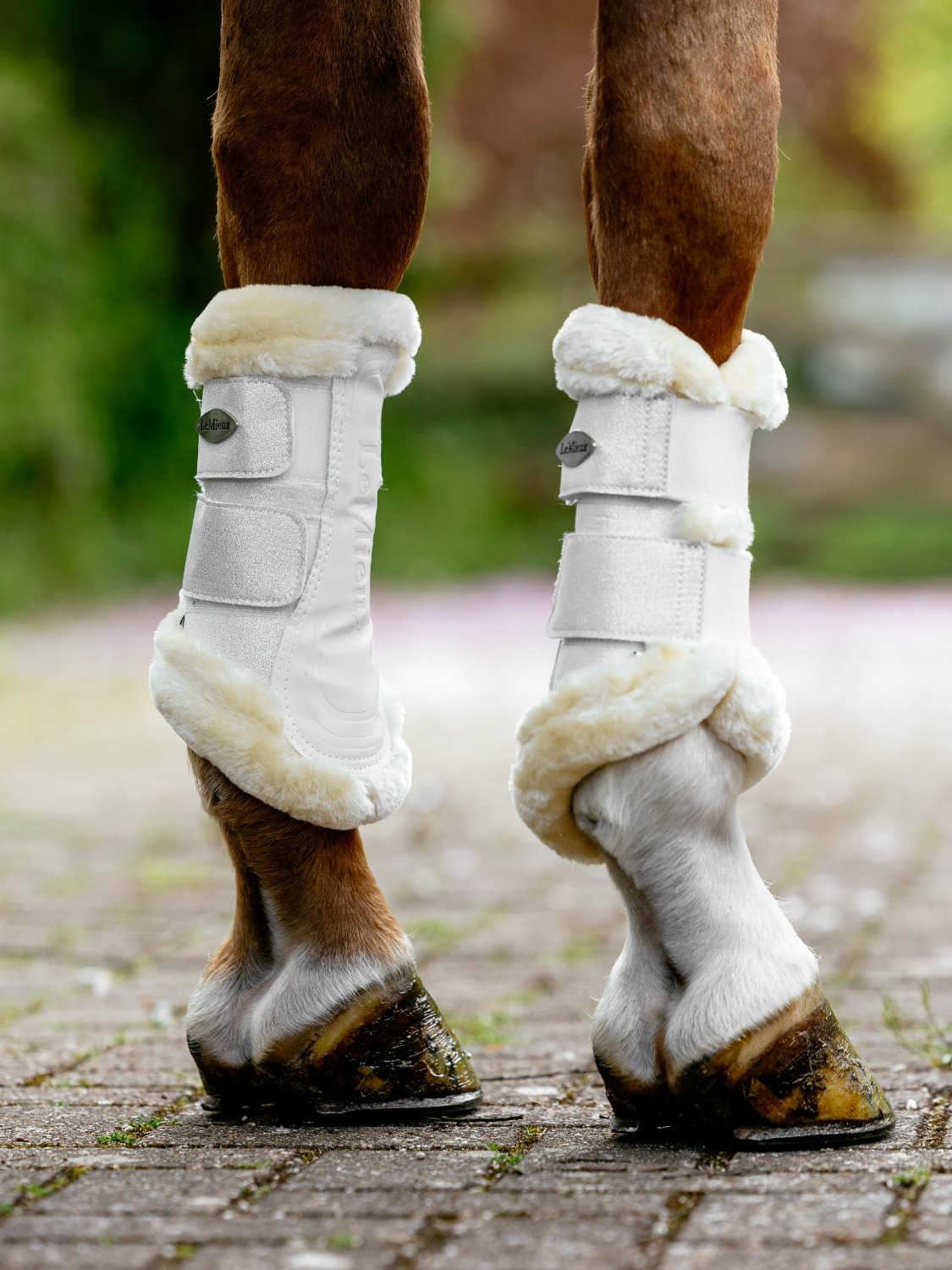 LeMieux SS26 Brilliance Fleece Edged Brushing Boot 
