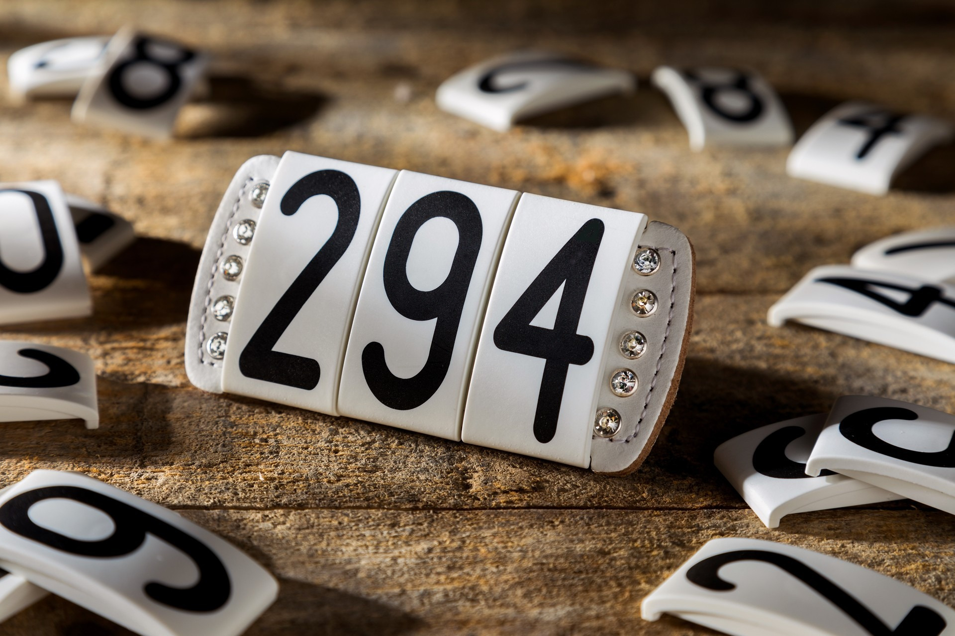 Kettner Snap Diamond Start Numbers