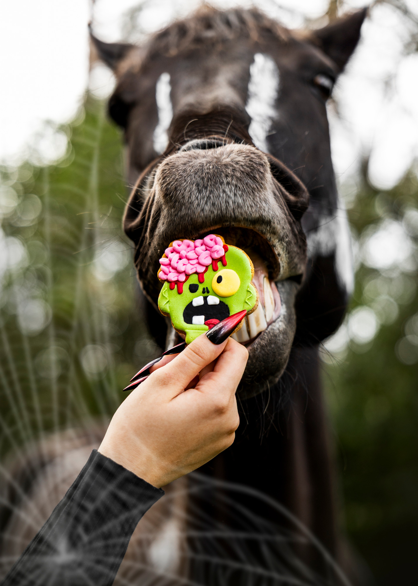 Candy Horse Halloween 2026 Zombie
