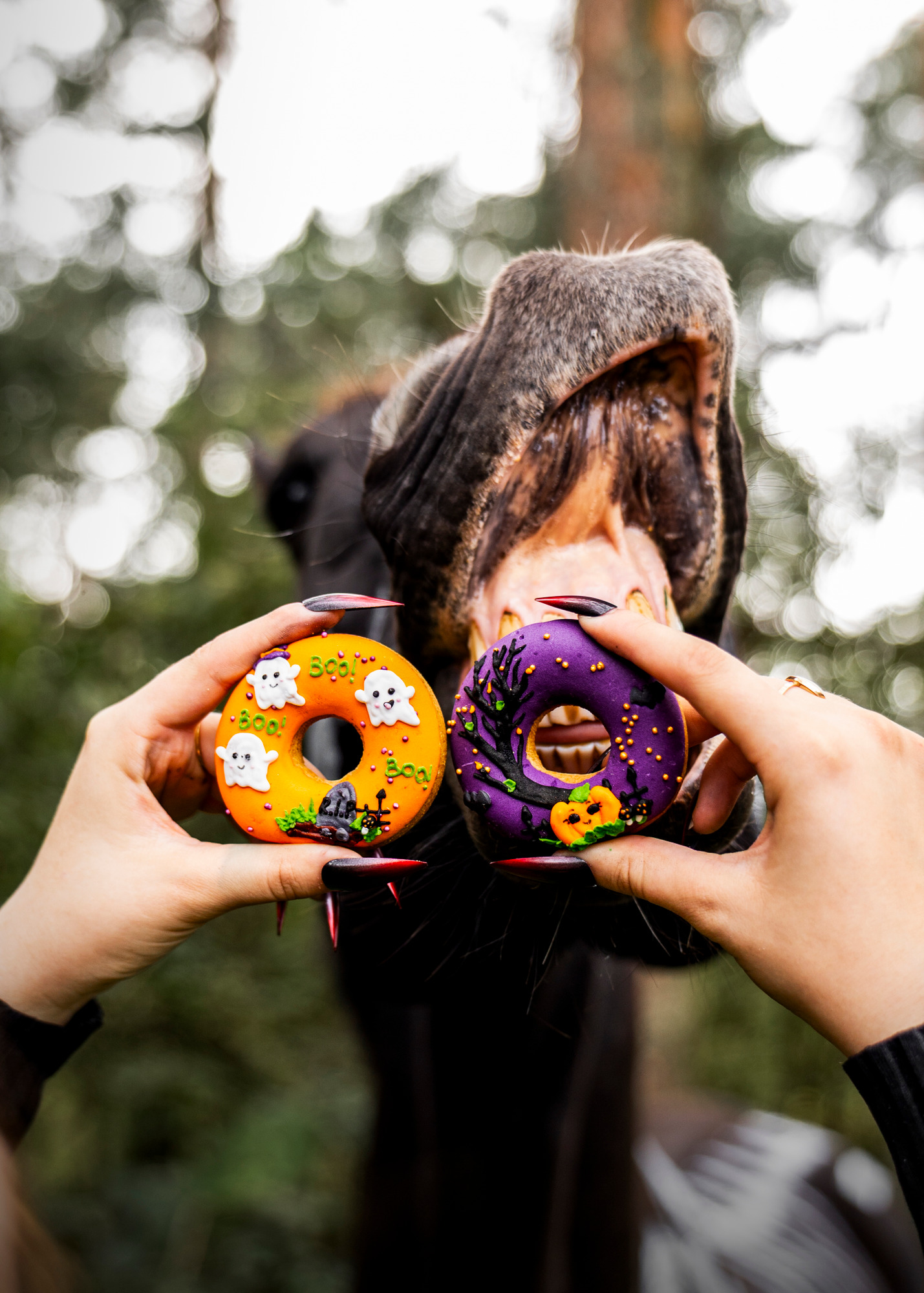 Candy Horse Halloween 2026 Donuts with icing