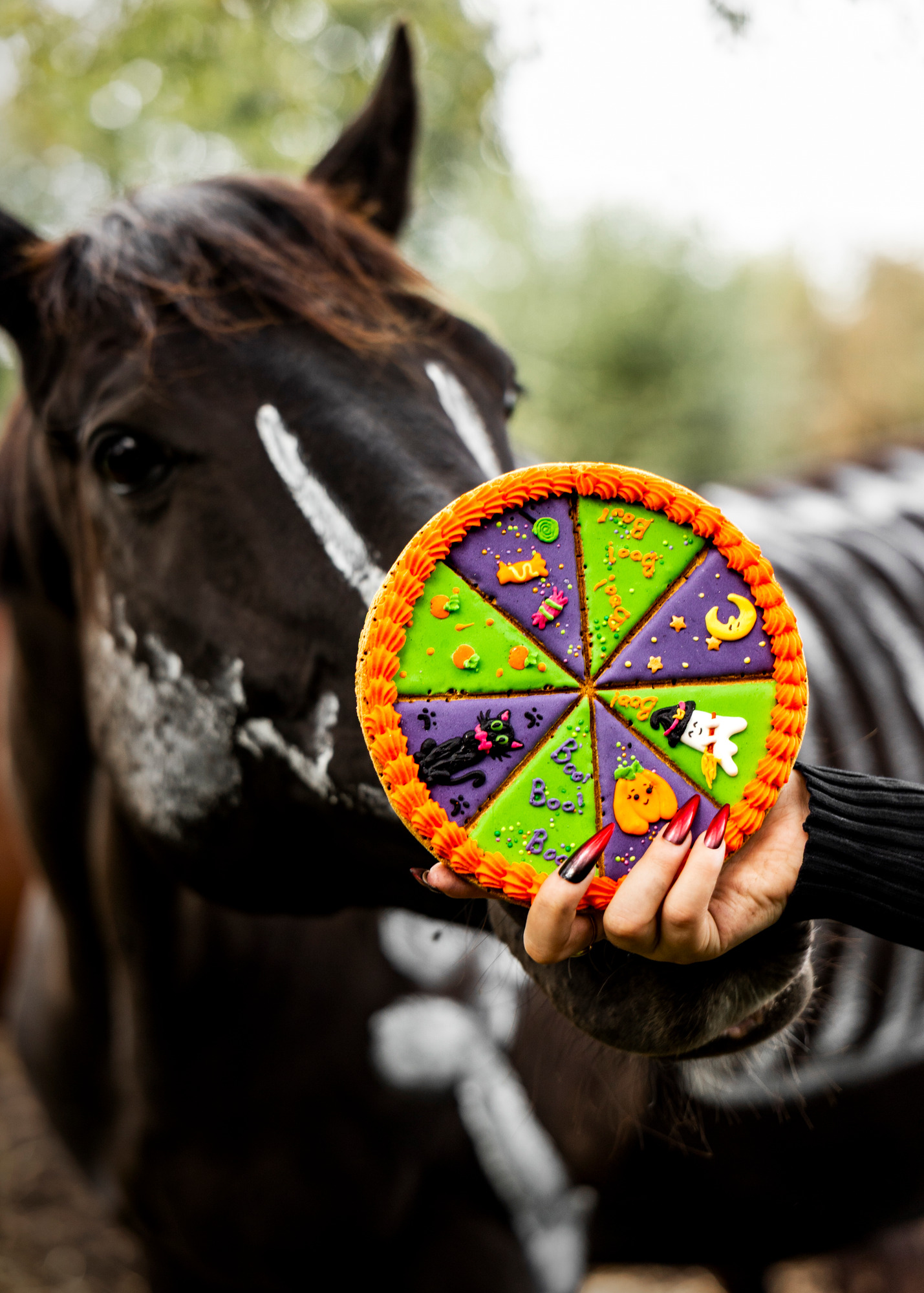 Candy Horse Halloween 2026 Tarte