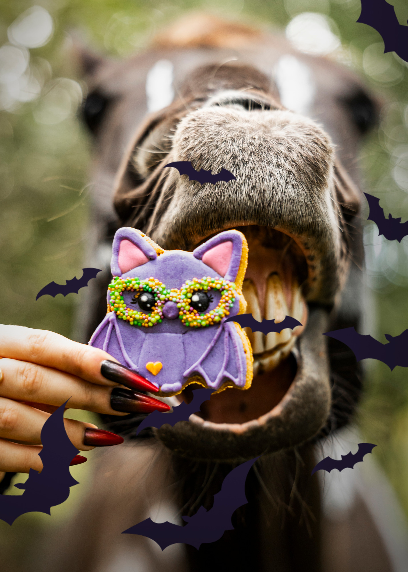 Candy Horse Halloween 2026 Bat