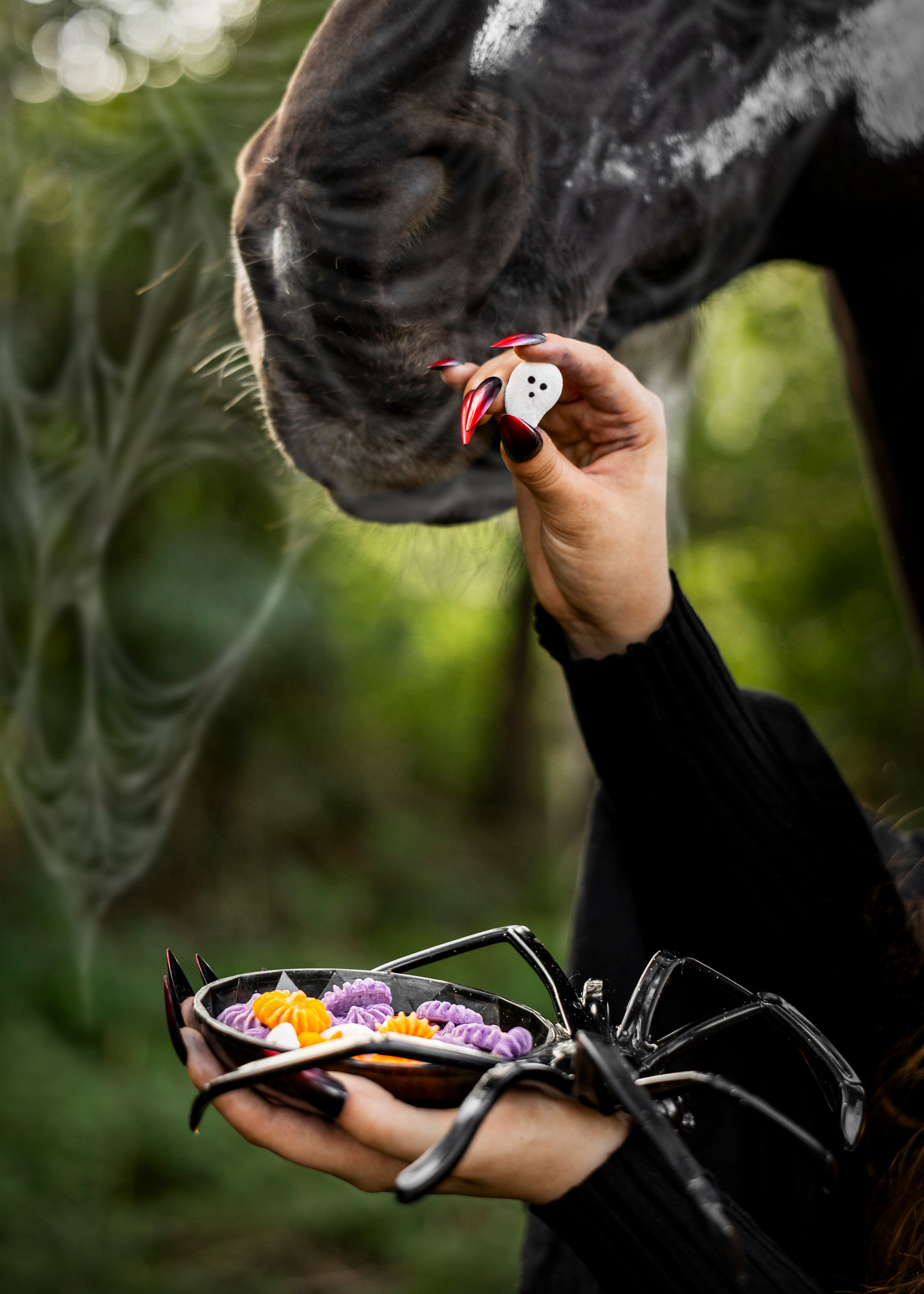 Candy Horse Halloween 2026 Sweets